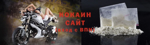 крисы Белокуриха