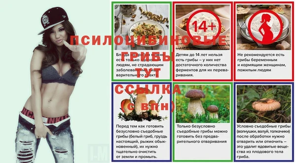 крисы Белокуриха