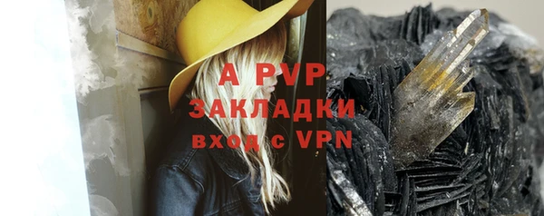 крисы Белокуриха