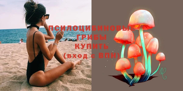 крисы Белокуриха
